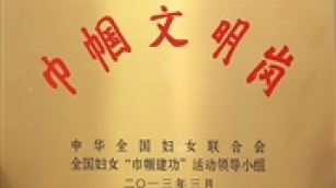 全国巾帼文明岗