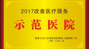 2017改善医疗服务示范医院